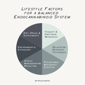 Endocannabinoid System